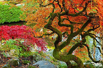 《幽灵行者2》发售预告 国区售价169元